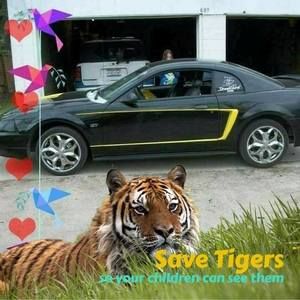 Meet your Posher, Bruce